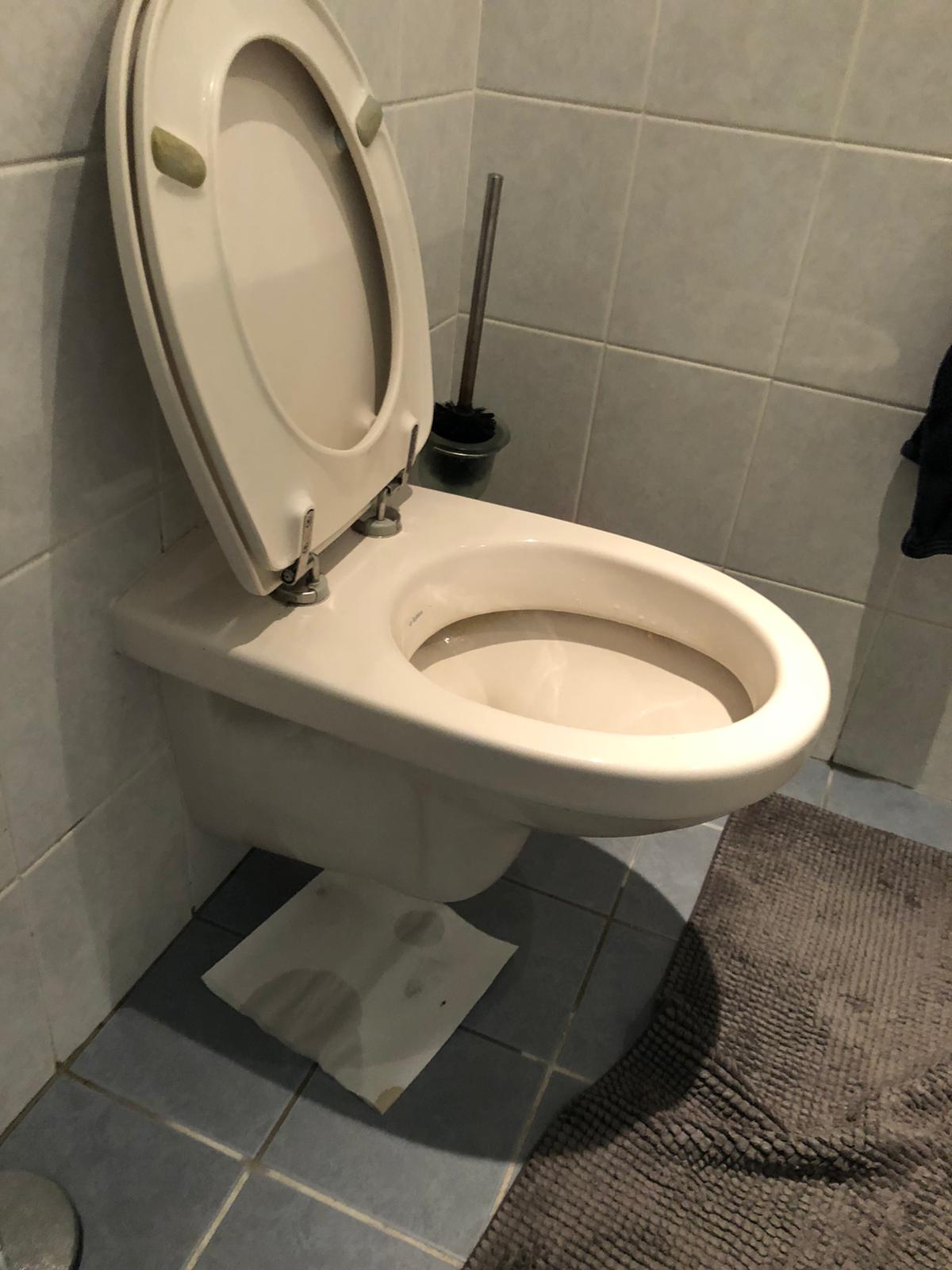 hangtoilet Den Bosch